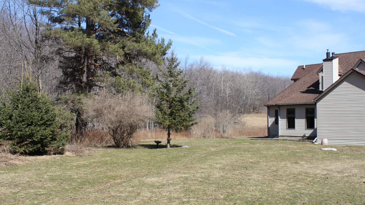 Photo of Outdoor in Lakewood