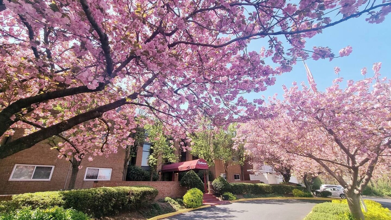 Photo of Outdoor in Elkins Park
