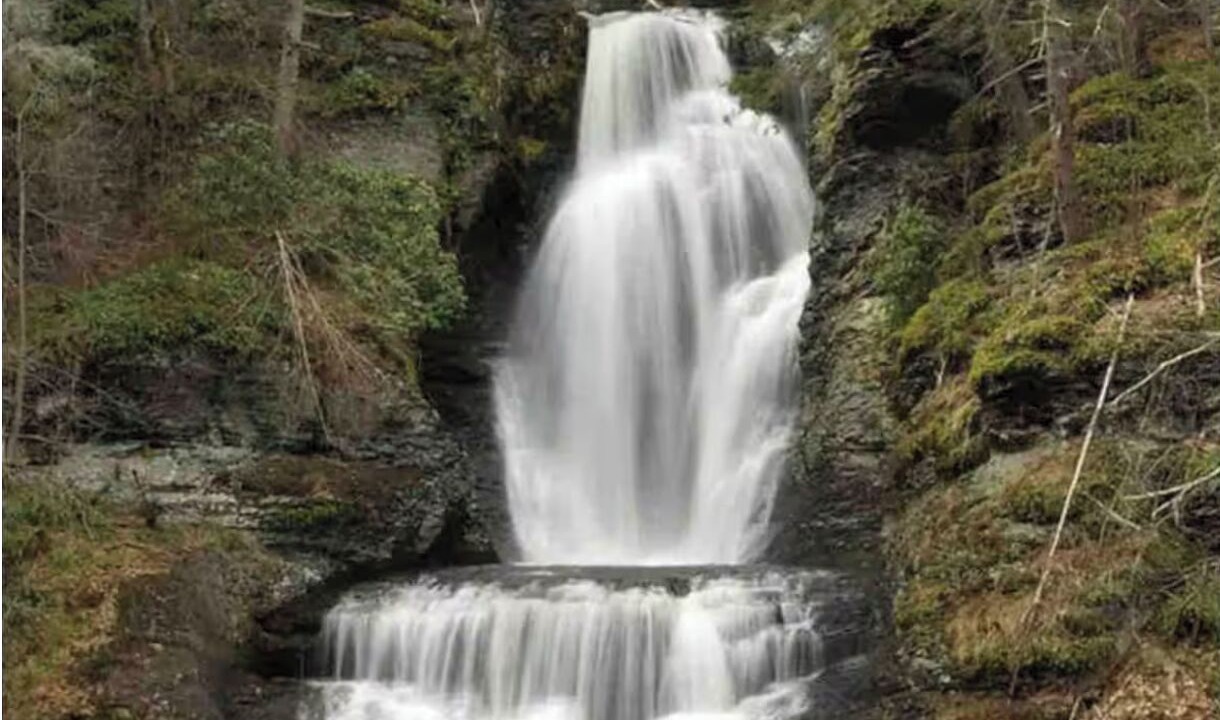 Photo of Others in Bushkill