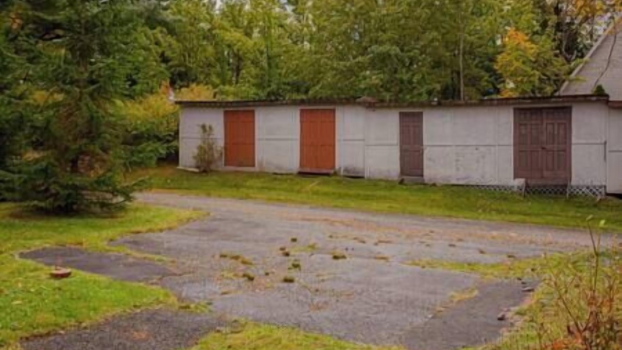 Photo of Outdoor in White Lake