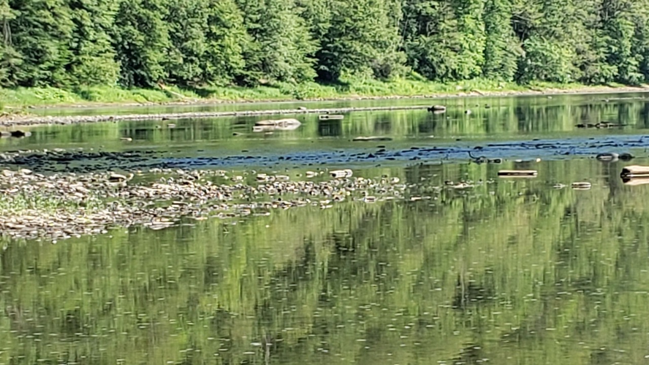 Photo of Others in Renovo