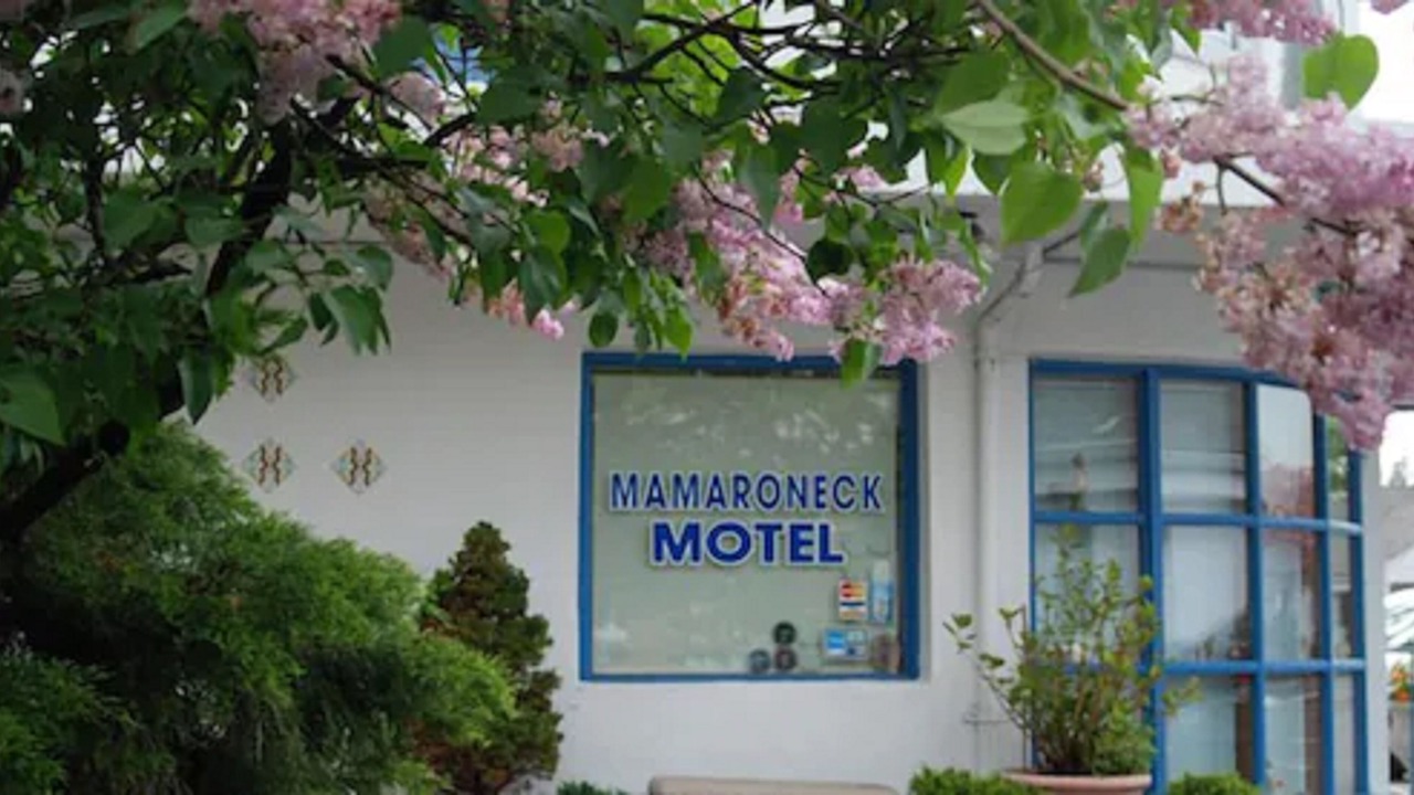 Photo of Outdoor in Mamaroneck