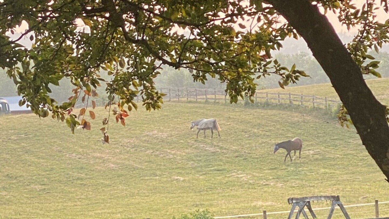 Photo of Others in Uniontown