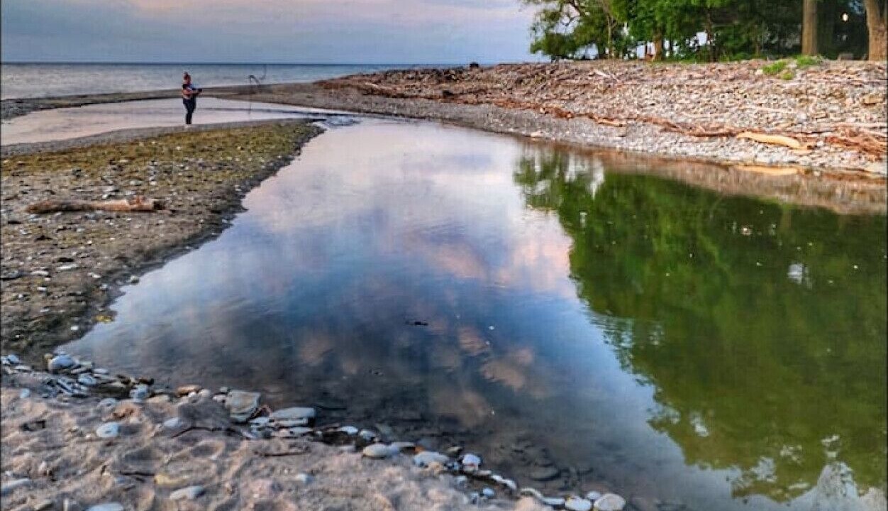 Photo of Others in North East