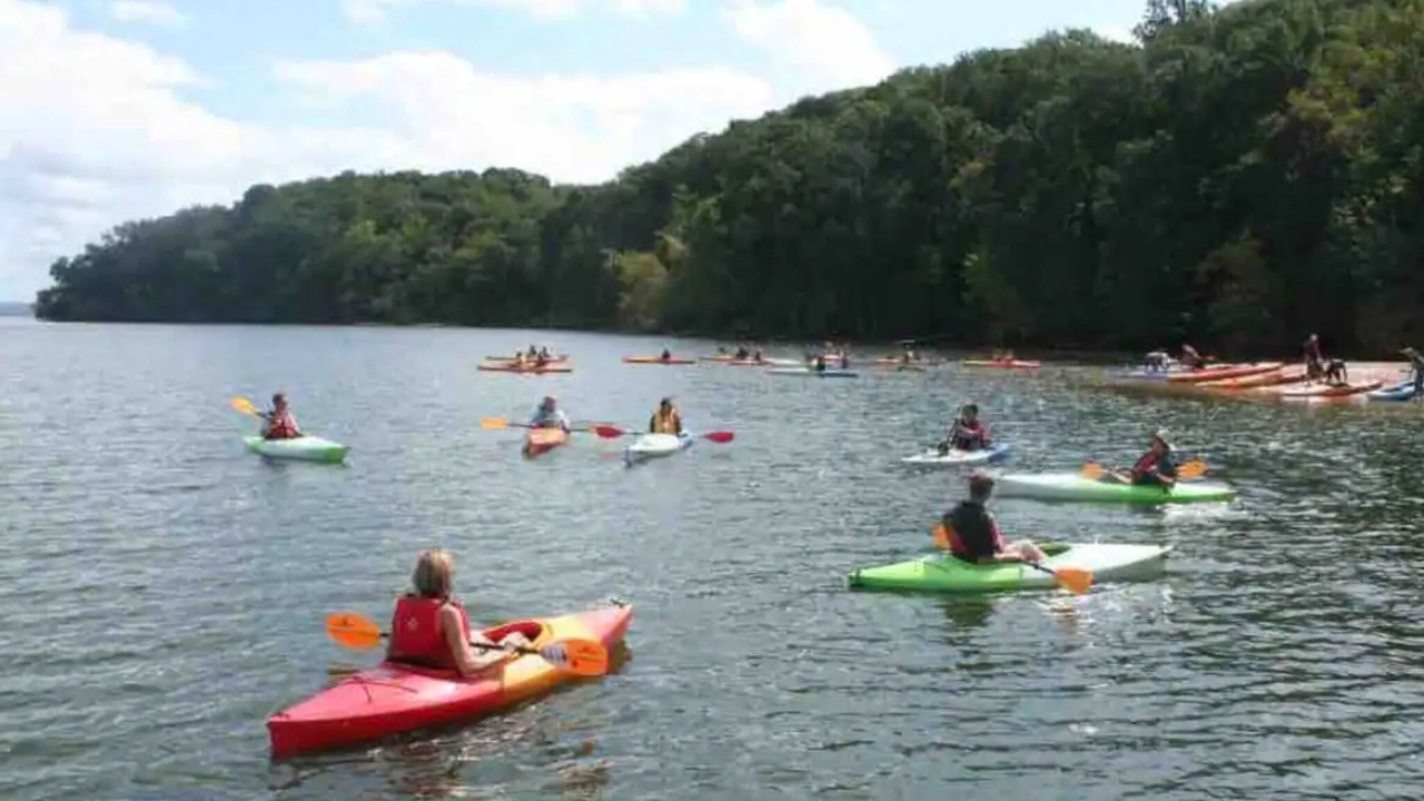 Photo of Others in Lorton