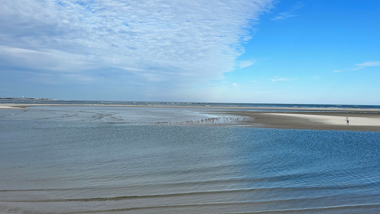 Photo of Others in North Wildwood