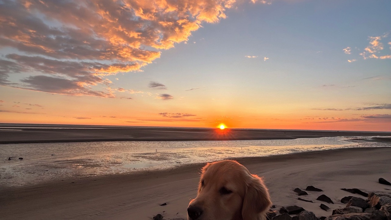 Photo of Others in North Wildwood