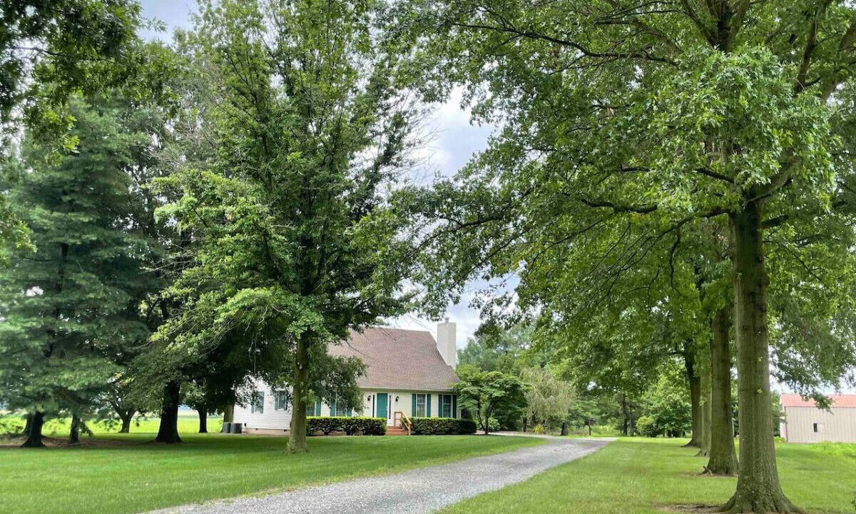 Photo of Outdoor in Golts