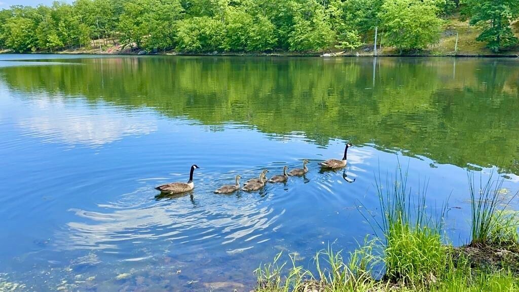 Photo of Others in East Stroudsburg