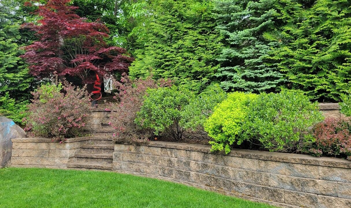 Photo of Outdoor in Bergenfield