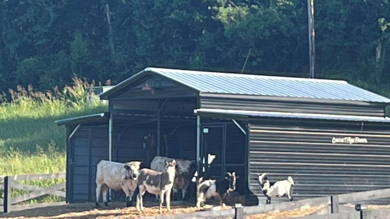 Photo of Outdoor in Knox County