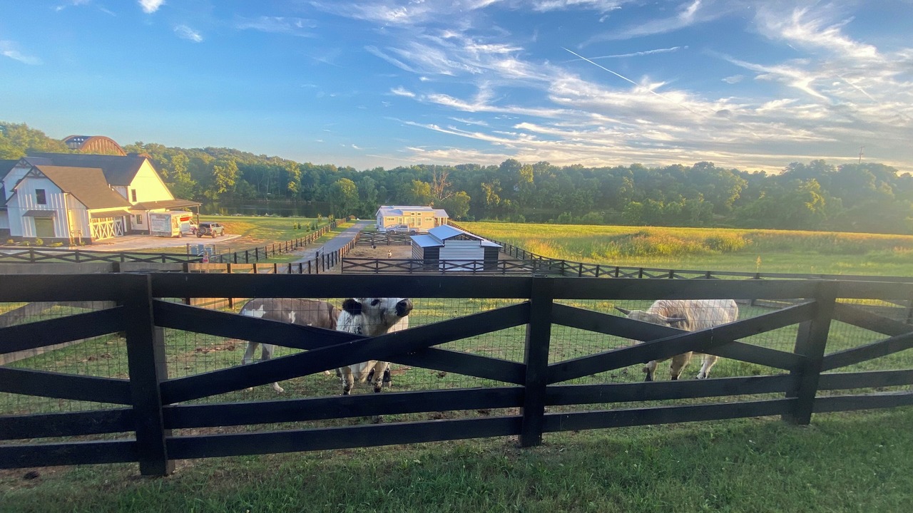 Photo of Outdoor in Knox County