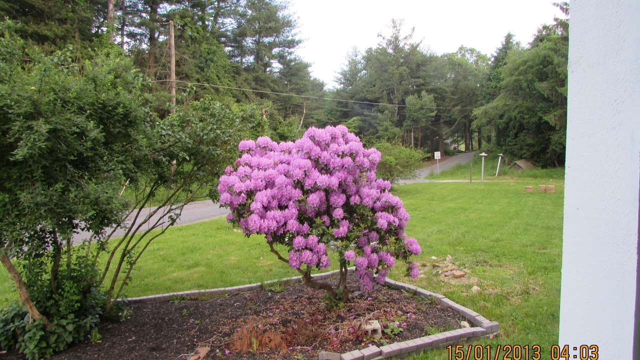 Photo of Outdoor in Orrtanna