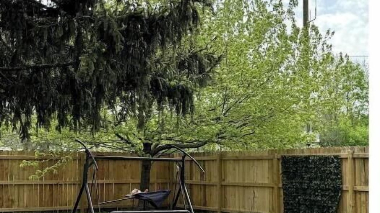 Photo of Outdoor in West Newton