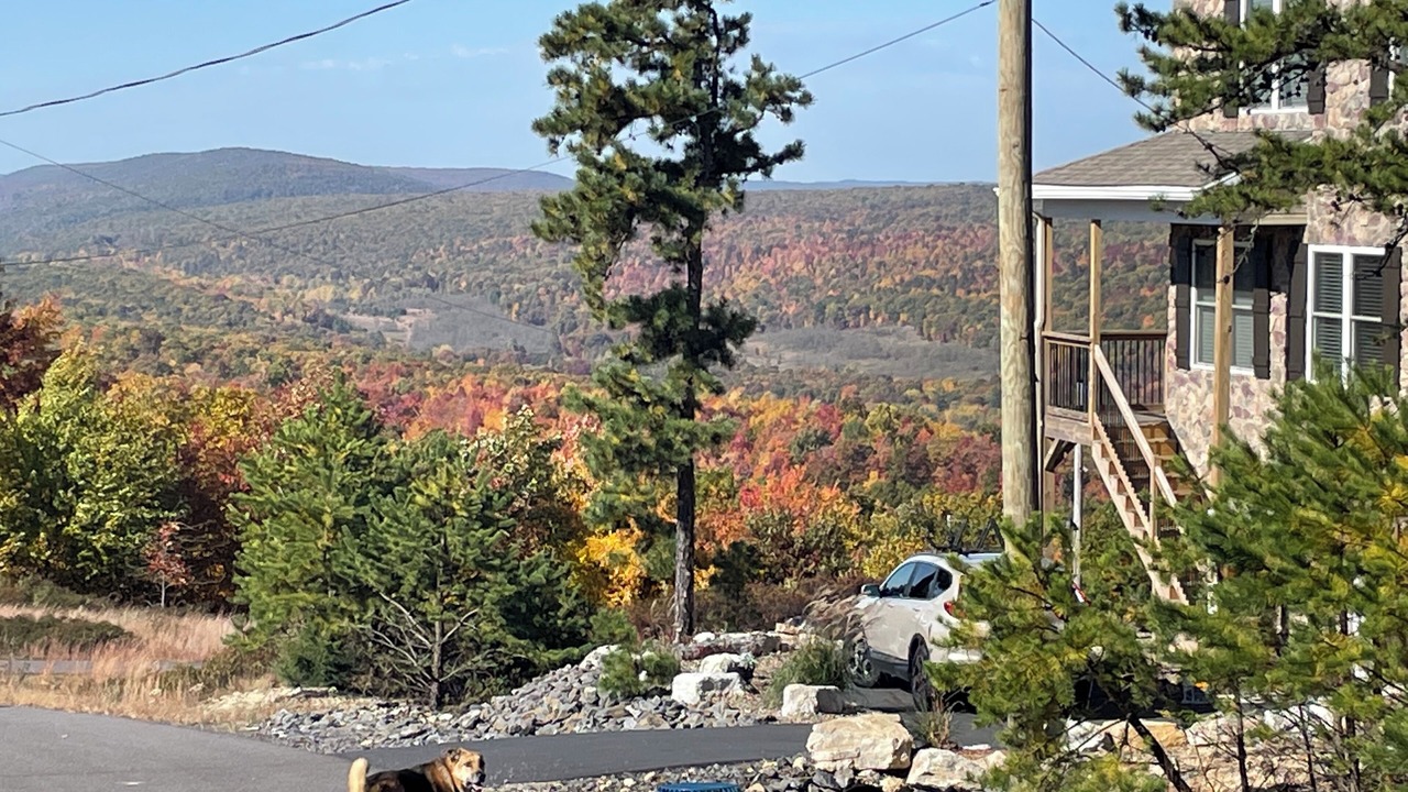 Photo of Others in Sybertsville