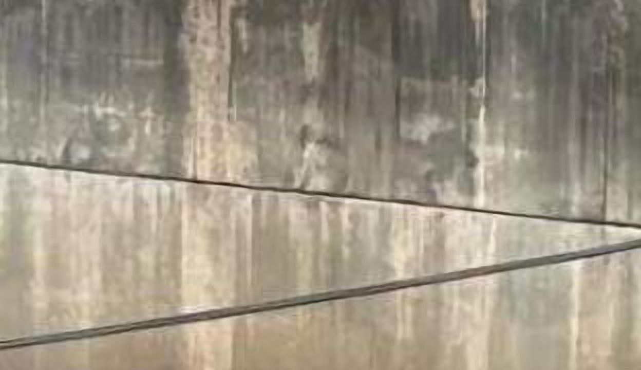 Photo of Others in White Mills