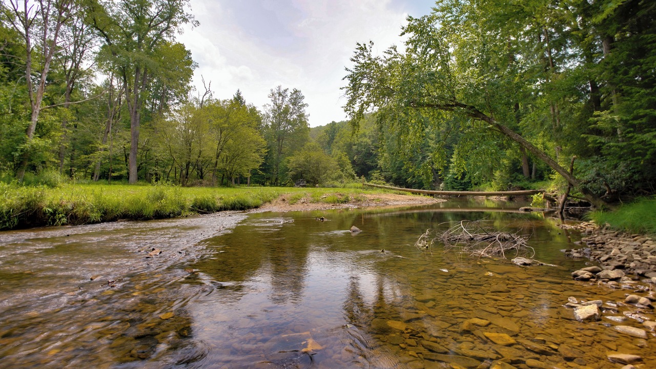 Photo of Others in Knox Dale
