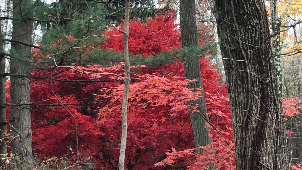 Photo of Outdoor in Kinnelon