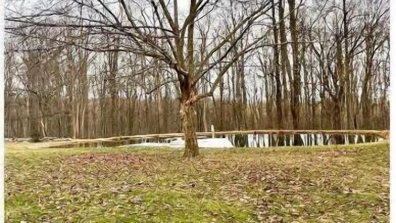 Photo of Outdoor in Orrtanna