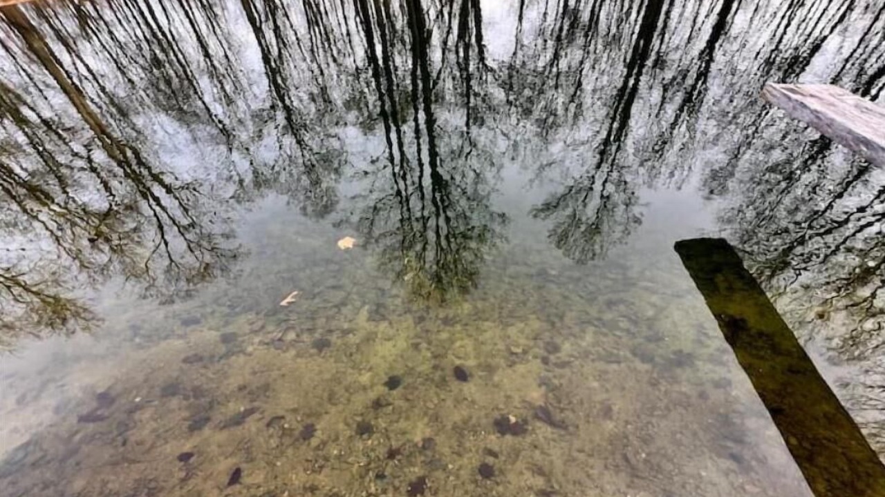 Photo of Outdoor in Orrtanna