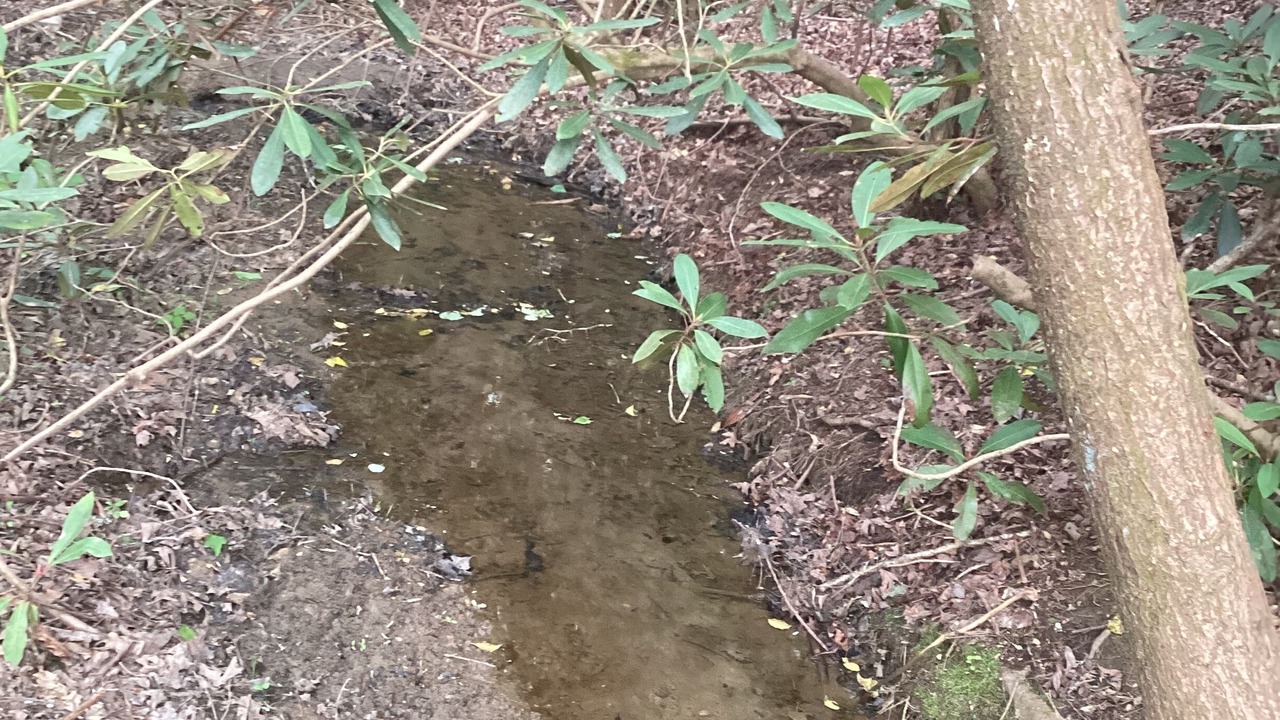 Photo of Outdoor in Unaka