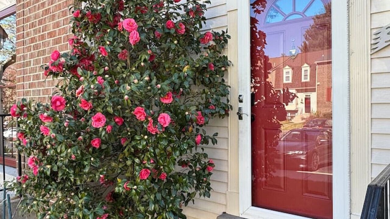 Photo of Outdoor in Calverton