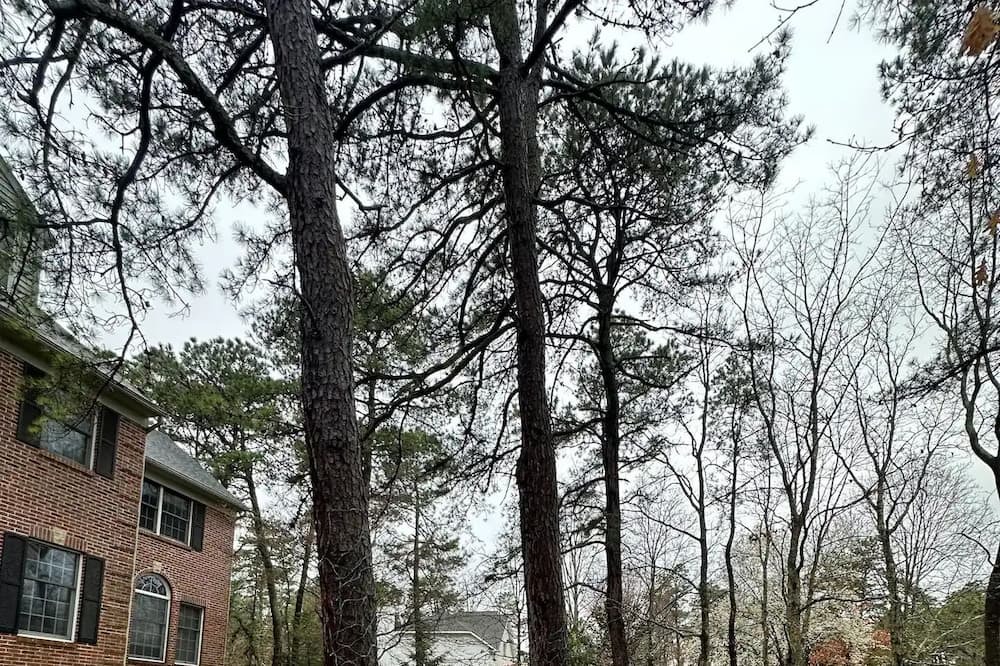 Photo of Outdoor in Medford