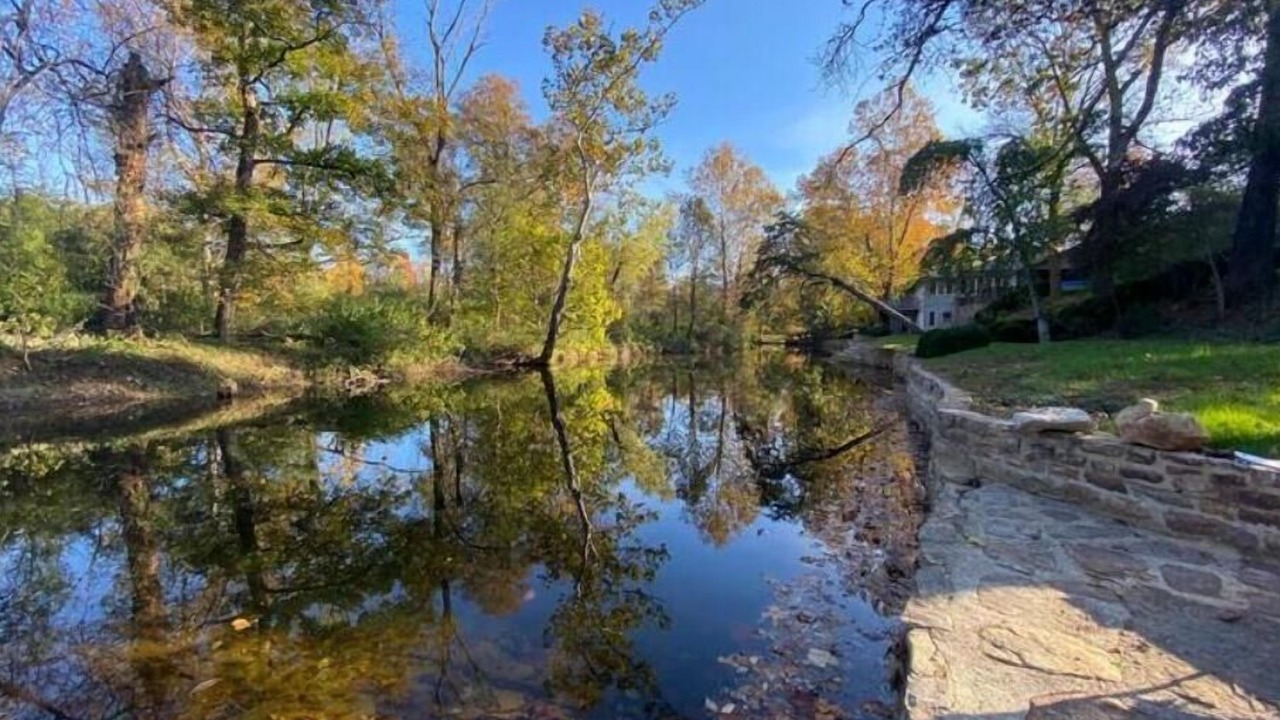 Photo of Outdoor in Craig Creek