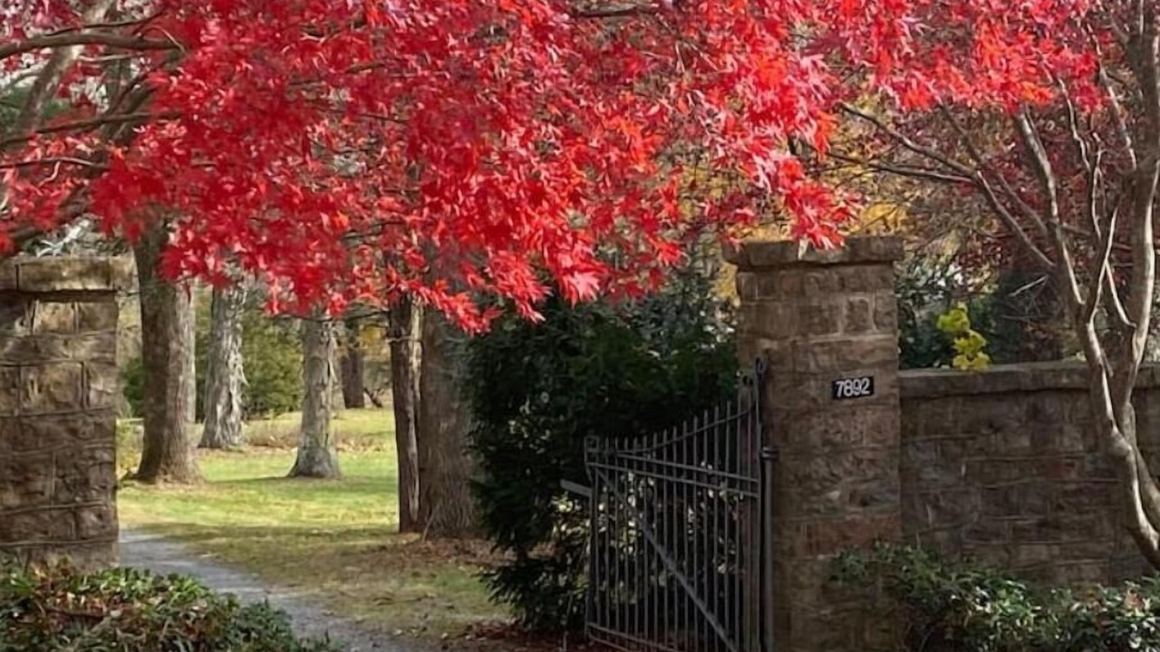 Photo of Outdoor in Craig Creek