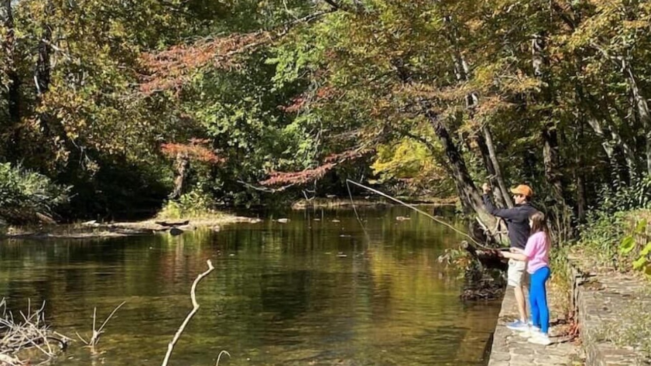 Photo of Others in Craig Creek