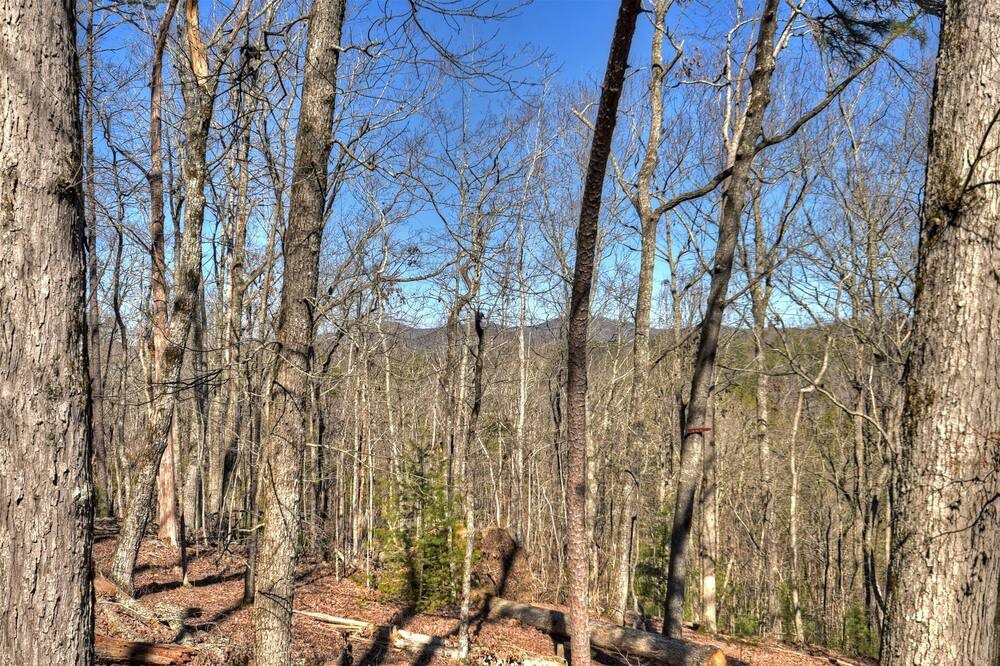 Photo of Outdoor in Chatsworth
