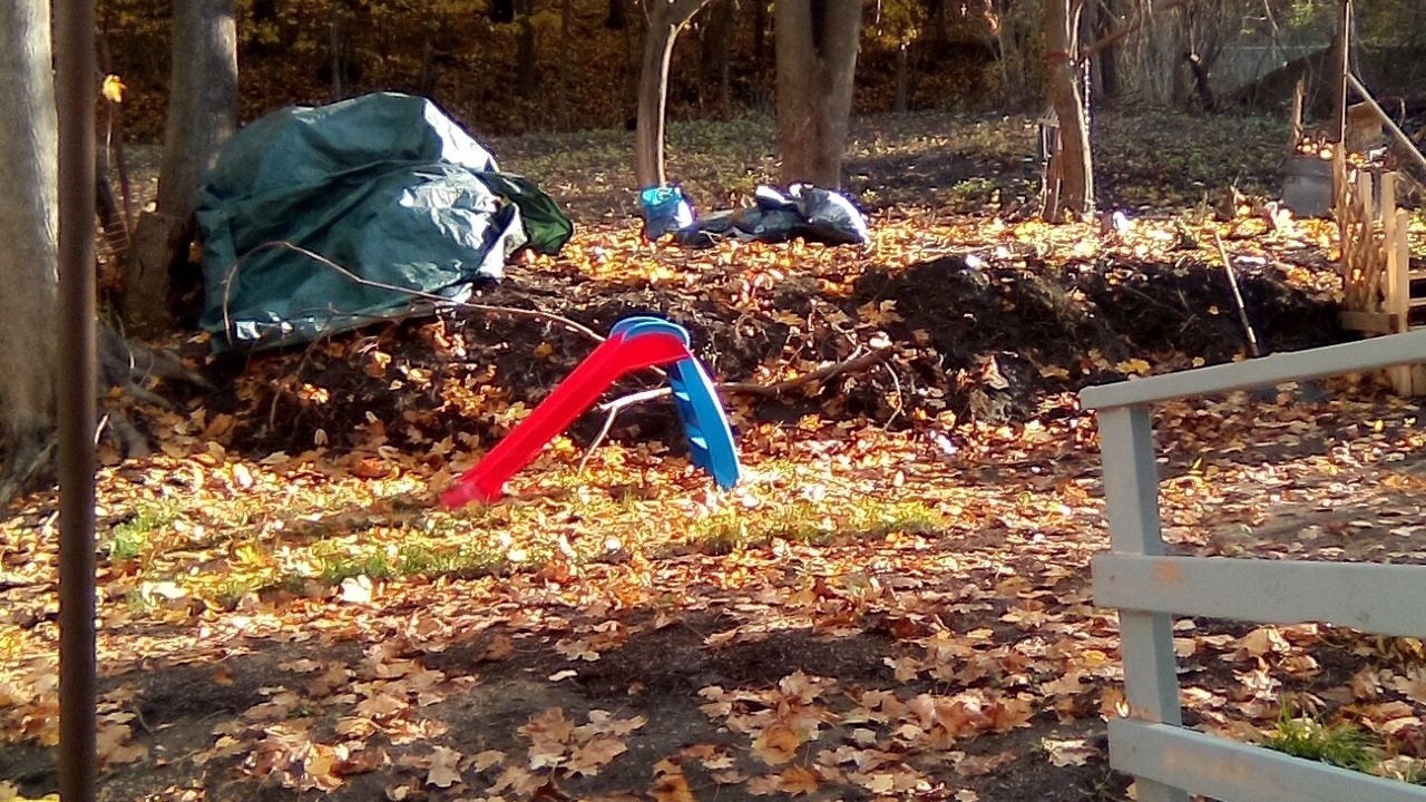 Photo of Outdoor in Homestead