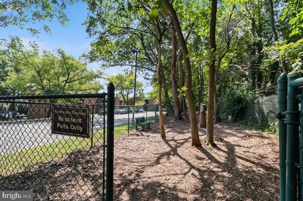 Photo of Outdoor in Forest Glen
