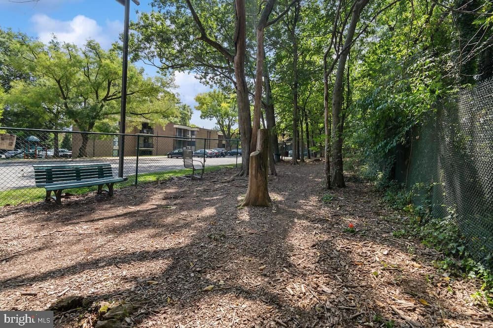 Photo of Others in Forest Glen