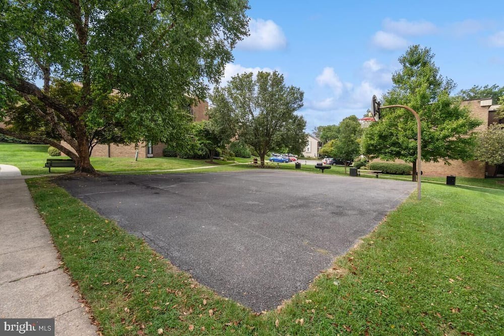 Photo of Outdoor in Forest Glen