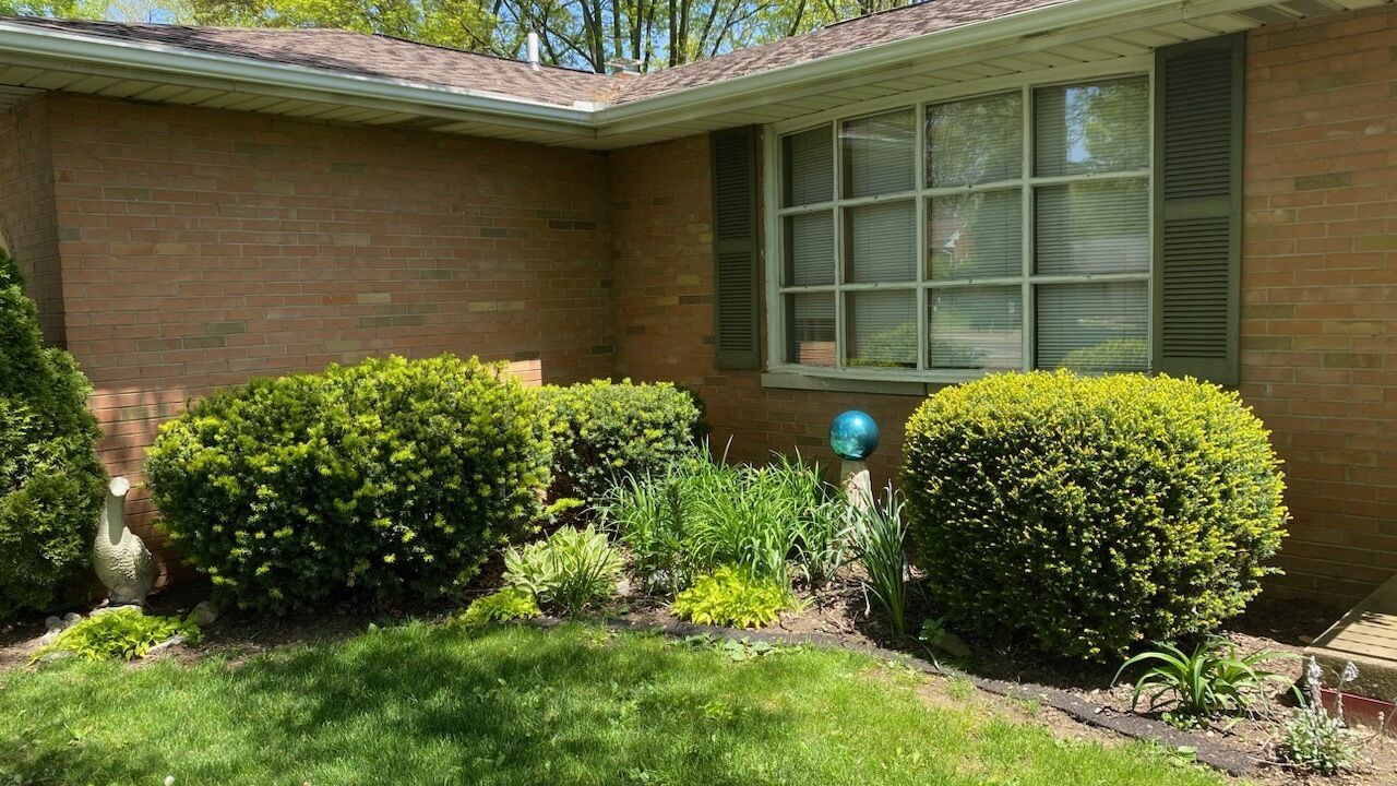 Photo of Outdoor in Massillon