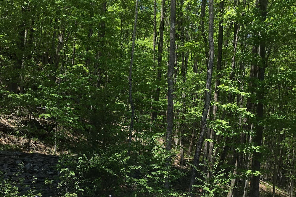 Photo of Outdoor in Roscoe