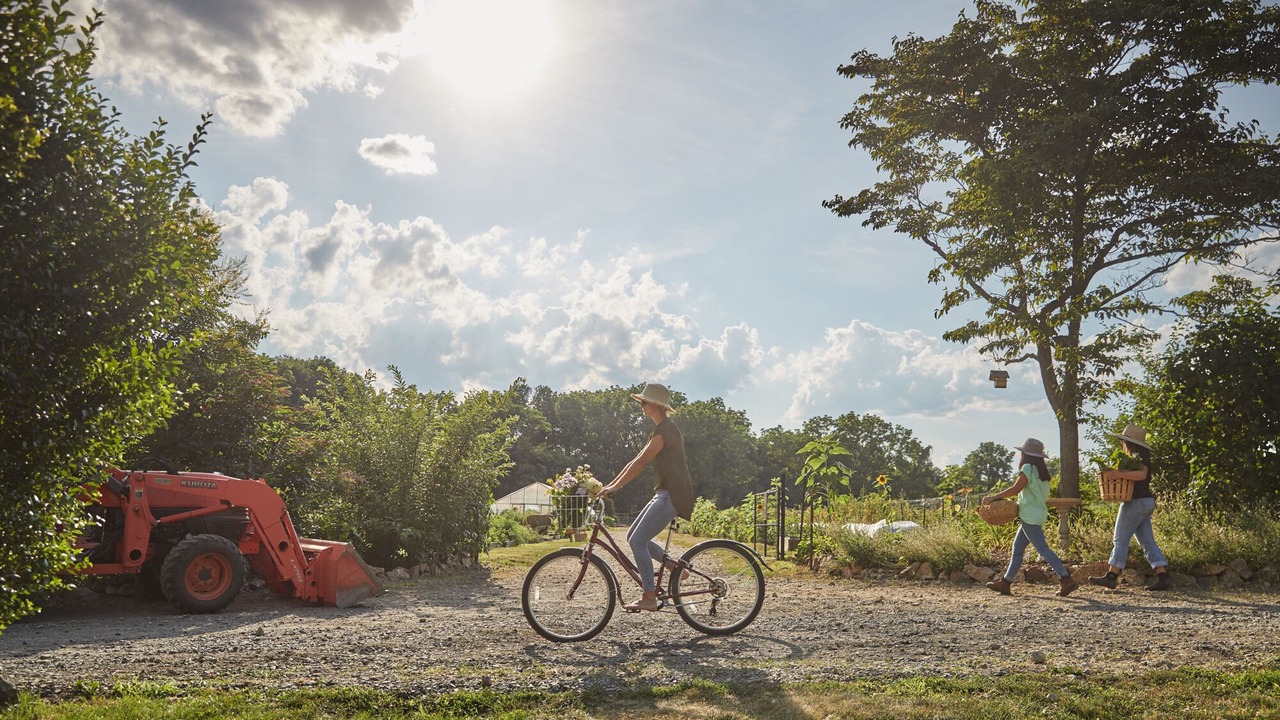 Photo of Outdoor in Far Hills