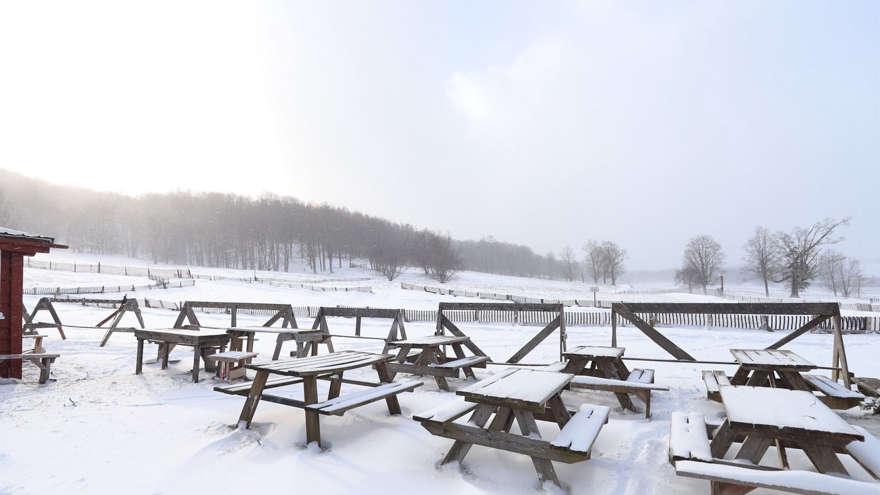 Photo of Outdoor in Canaan Valley