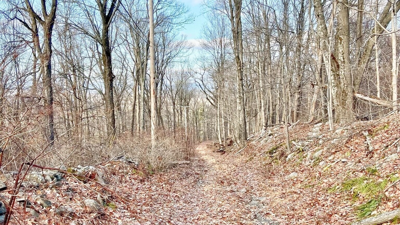 Photo of Others in High Falls