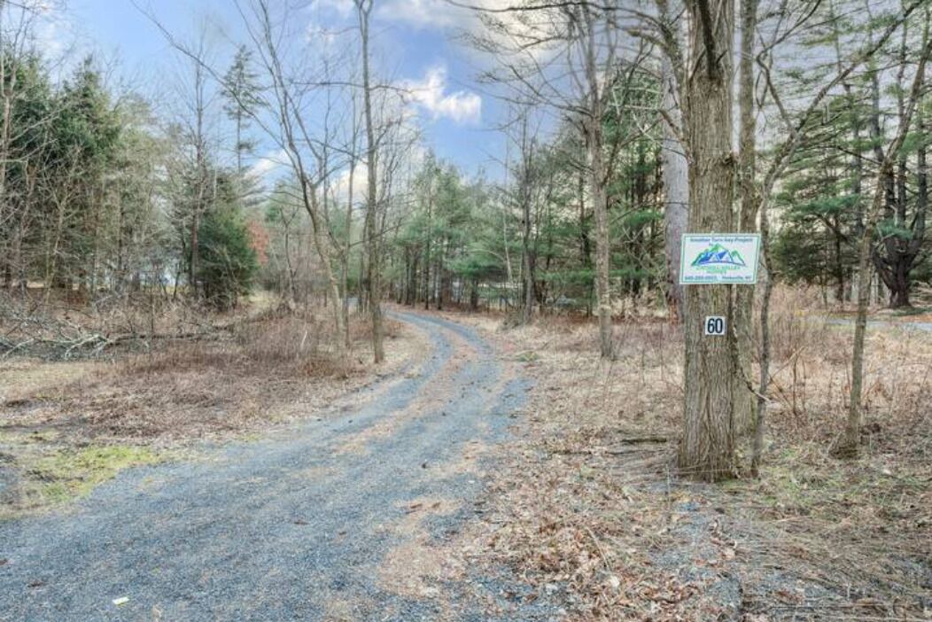 Photo of Outdoor in Cuddebackville