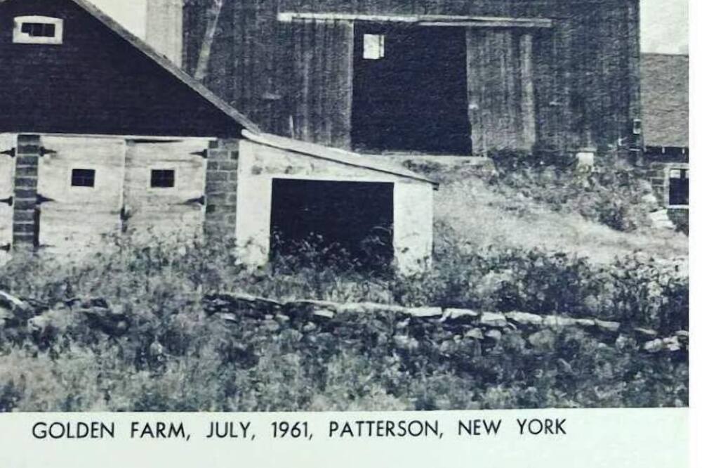 Photo of Others in Patterson