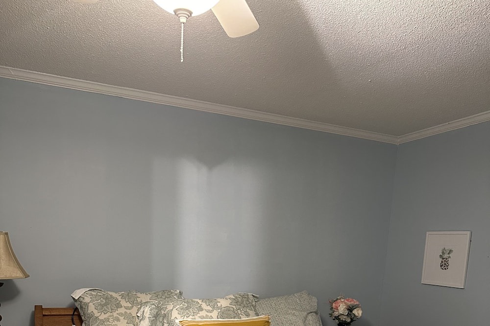 Photo of Bedroom in Havelock