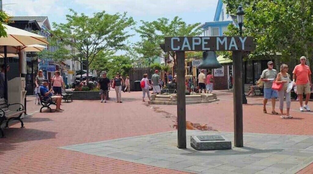 Photo of Others in North Cape May