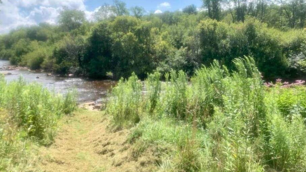 Photo of Outdoor in Canaan Valley