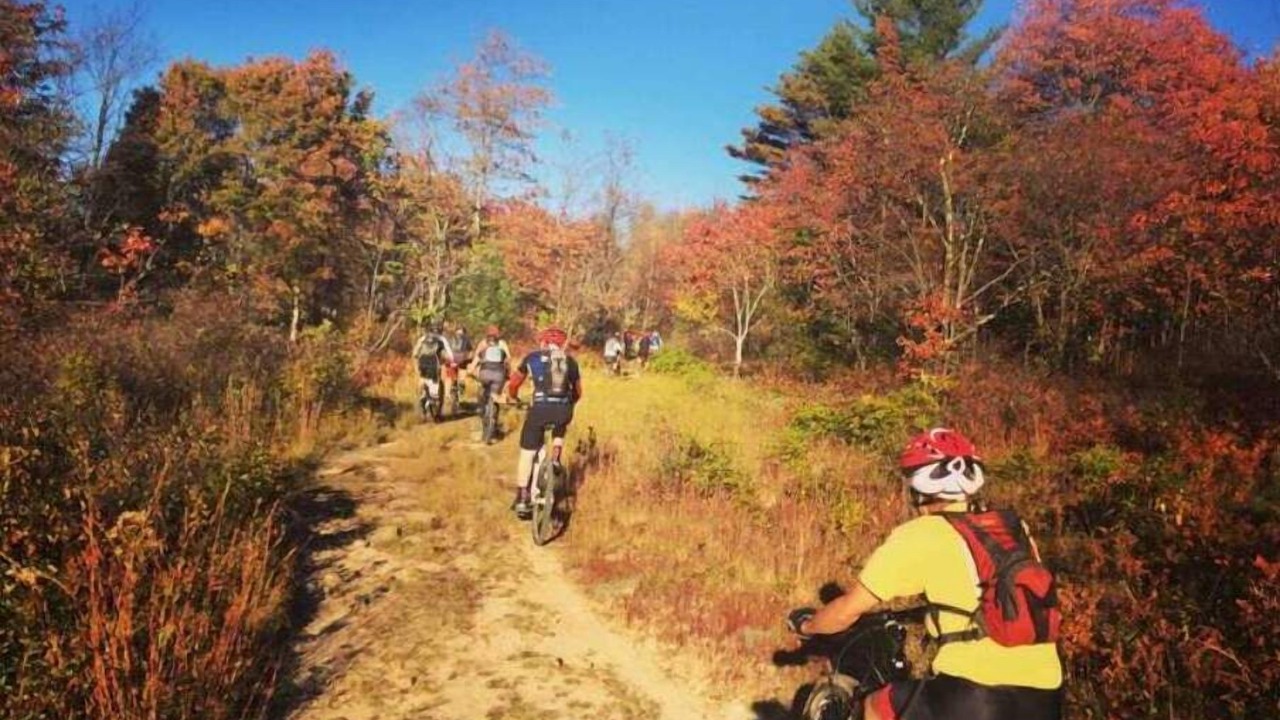 Photo of Others in Canaan Valley