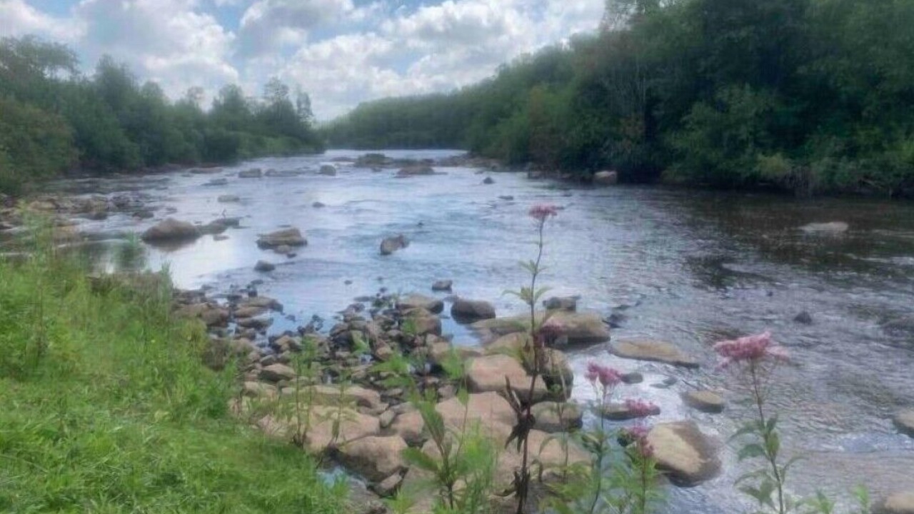 Photo of Outdoor in Canaan Valley