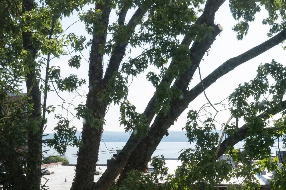 Photo of Outdoor in Nyack