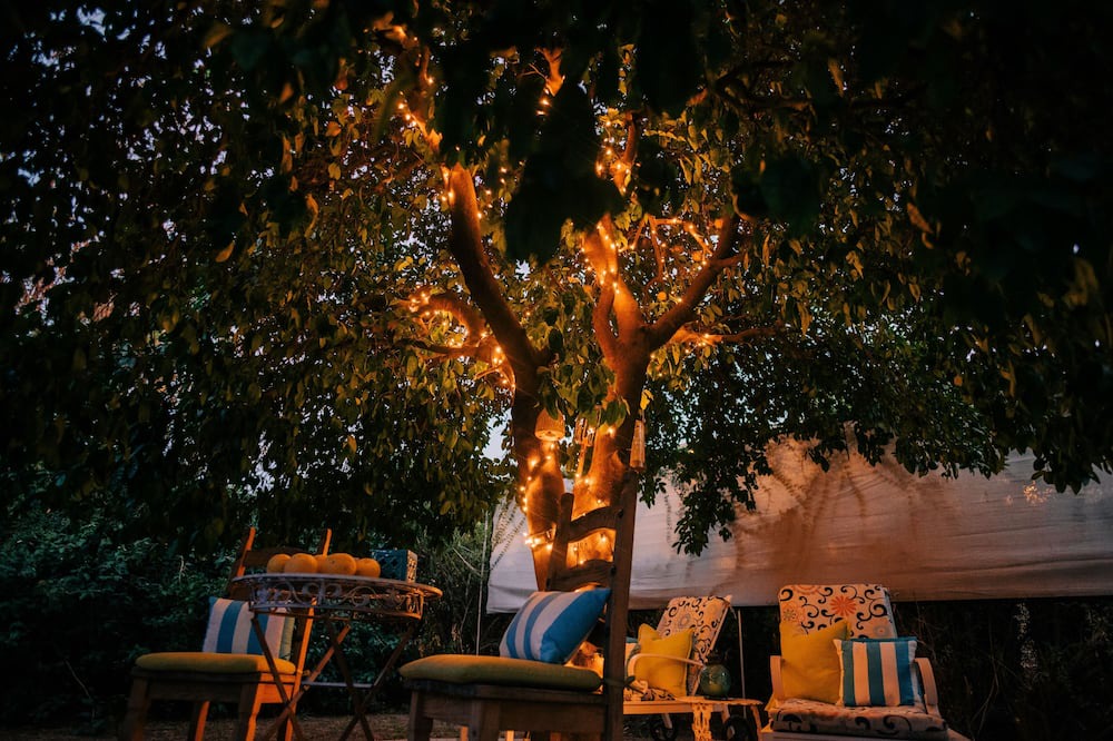 Photo of Outdoor in Camelback East