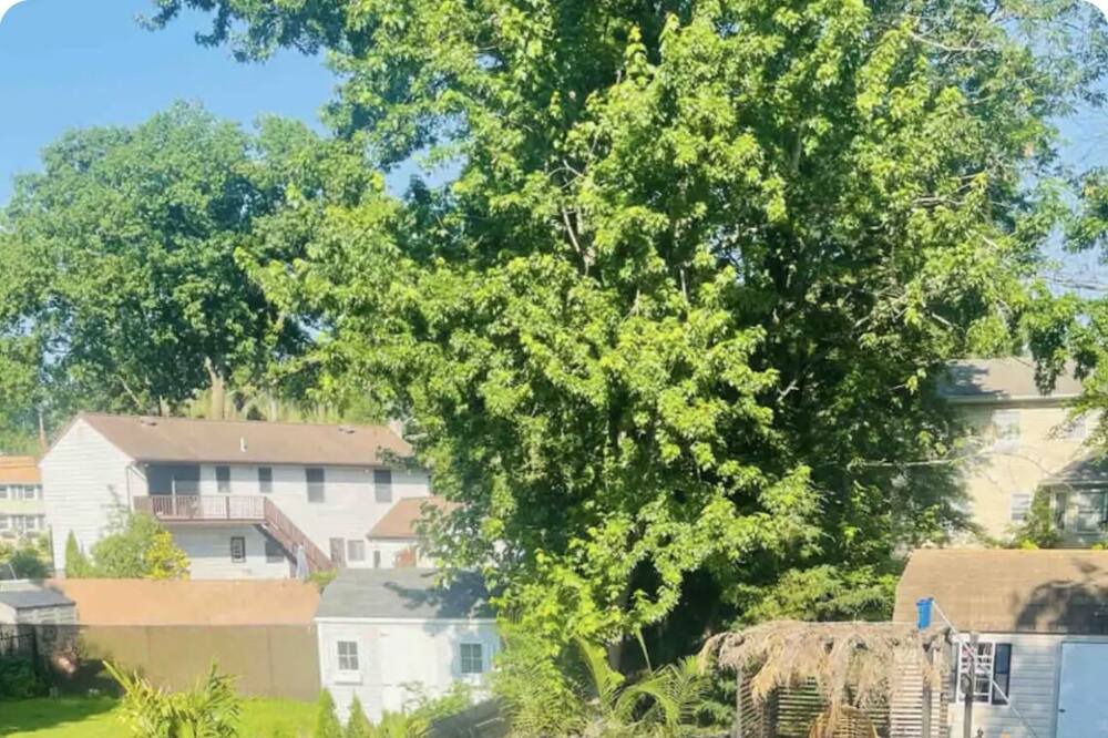 Photo of Outdoor in Lake Hiawatha